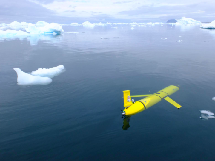 Robotic gliders launched to investigate penguin island’s ecosystem