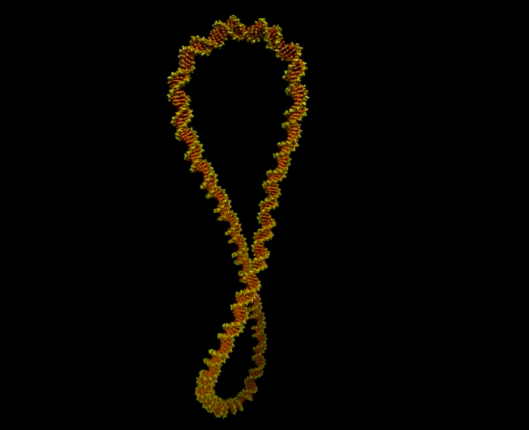 Highest resolution Images of DNA Ever Reveal how it “dances”