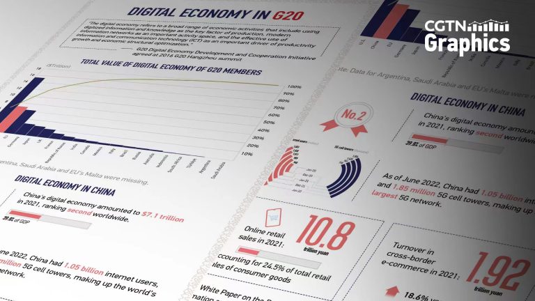 CGTN: Digital economy becomes new growth engine for China and other G20 members