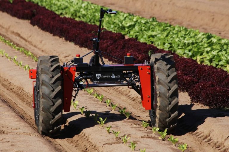 Can robots and AI help address the world’s food security issues?