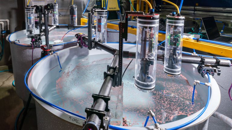 Game-changing robotics helping grow new corals